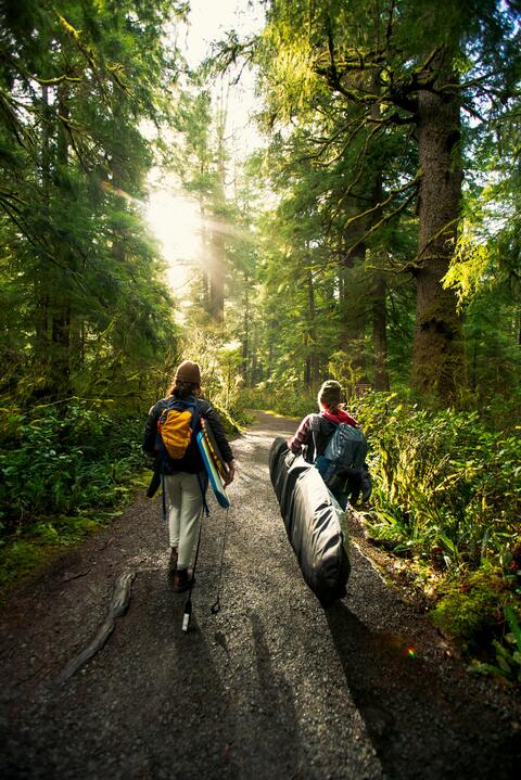 A couple walking along the path in a forest.